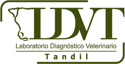 Logo Laboratorio Tandil