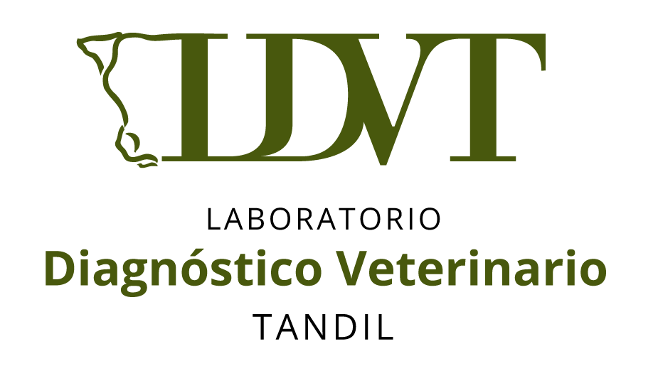 Laboratorio Diagnóstico Veterinario