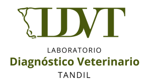 isologo-nuevo isologo-nuevo